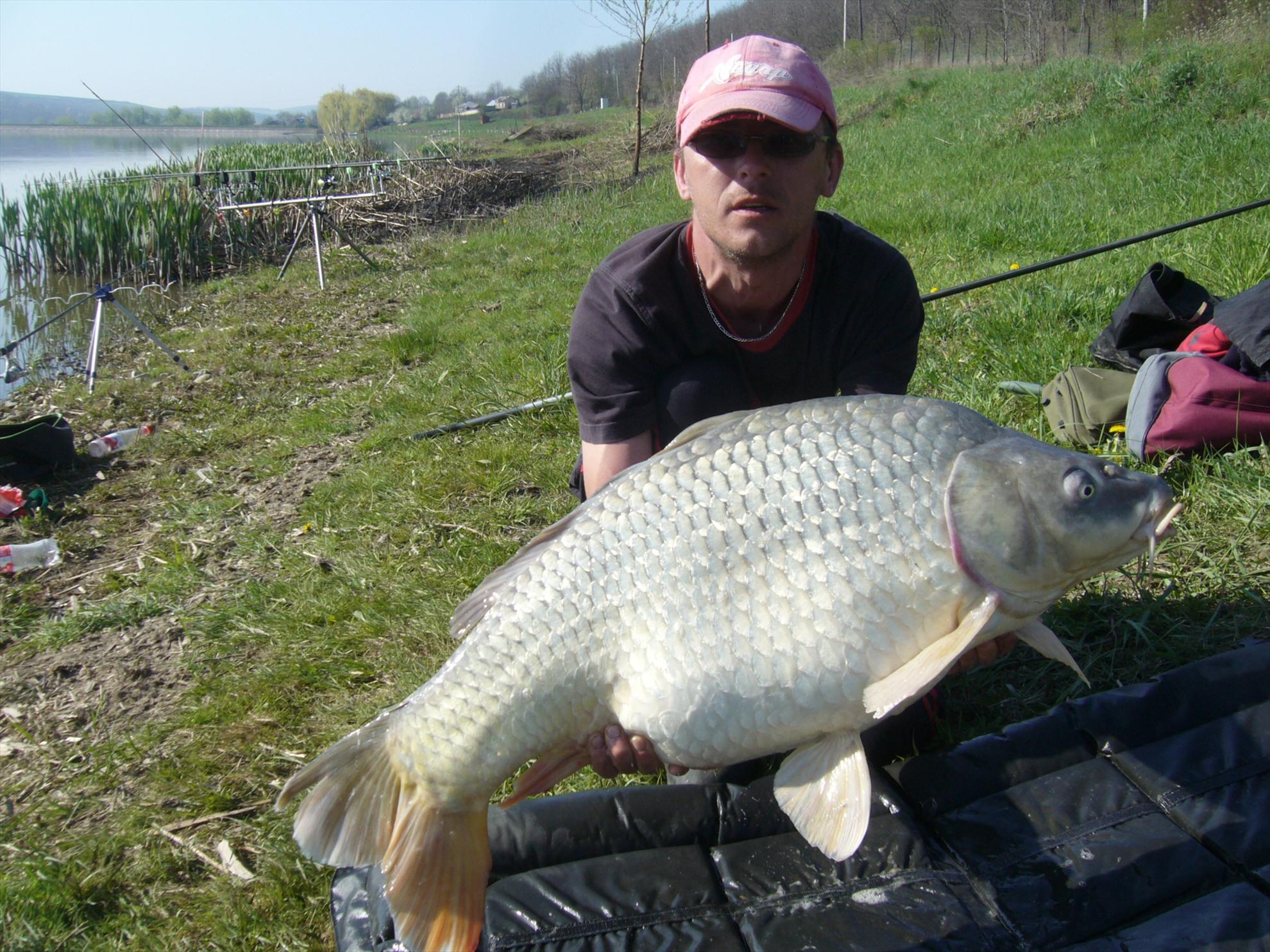 Horgesti 24-25.04.2013 - p1130972.JPG